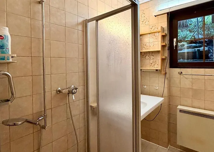 Chalet Apartment Faulensee Lejlighed